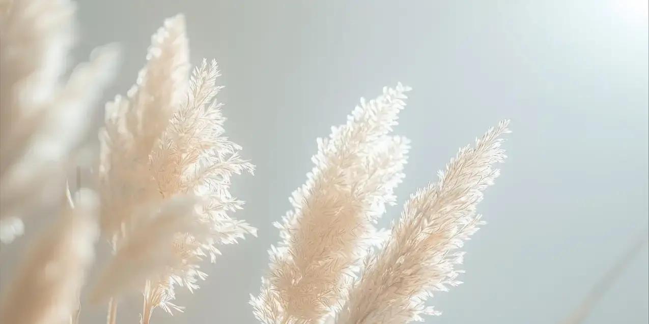 生活中，你是否被过去的委屈和失败纠缠不清？许多人以为时间能自动疗伤，却忽略了真正