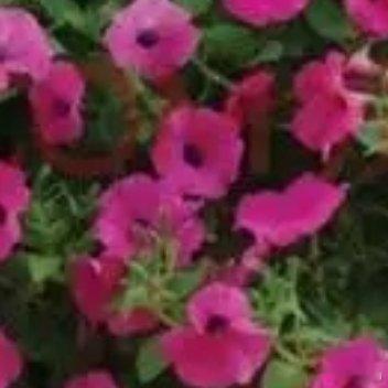 可惜我相貌平平一事无成，惊艳不了谁的岁月，也孤孤单单晃晃荡荡了小半生 