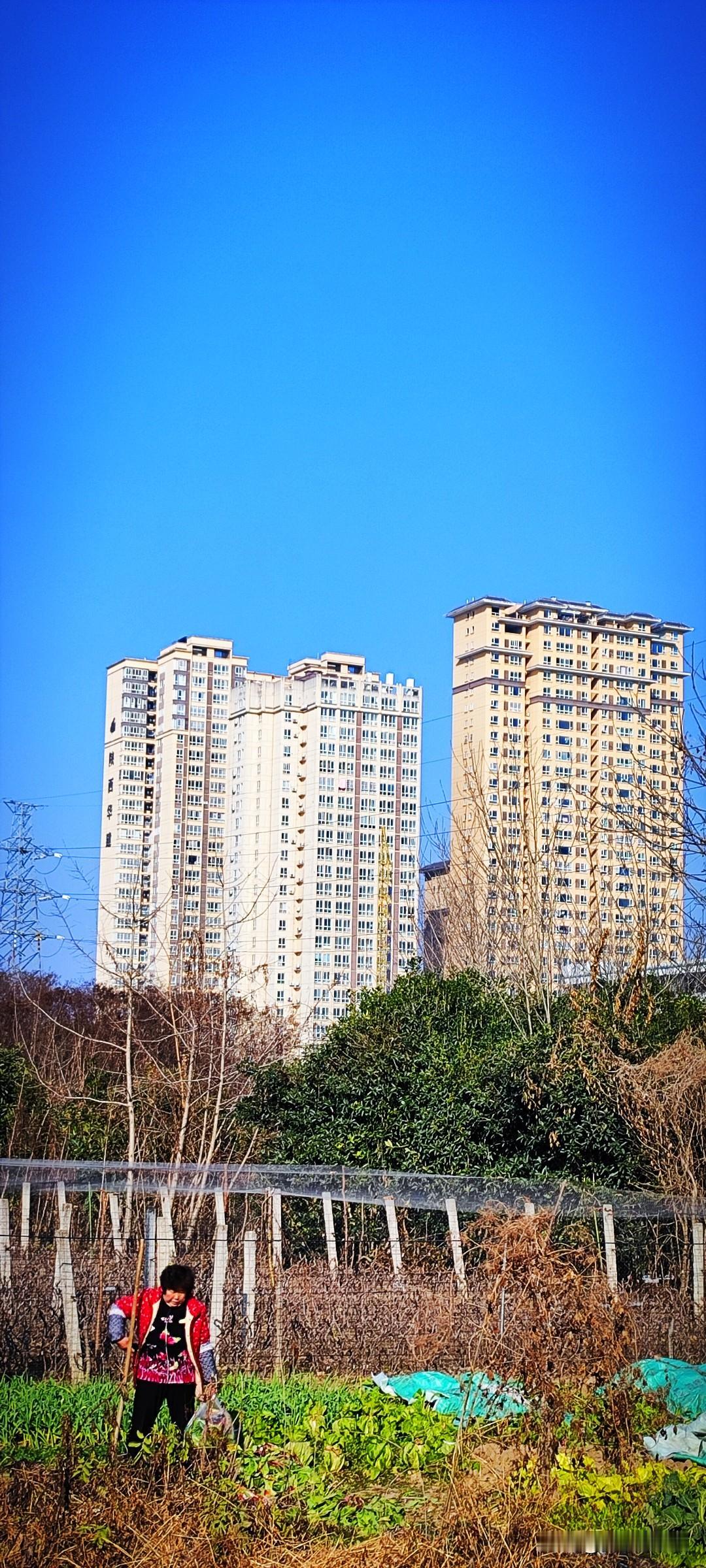 晒图笔记大赛小城向西，是高楼林立的滨江新区，城乡结合处已经成了“都市里的村庄”。