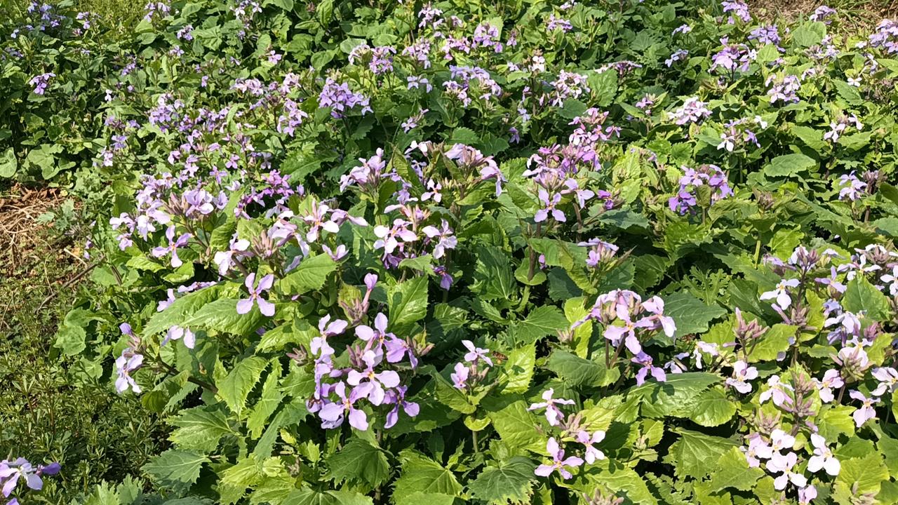 再也回不到从前了，遥想当年，金戈铁马，气吞万里如虎，白天忙着上班，晚上我也是熬到