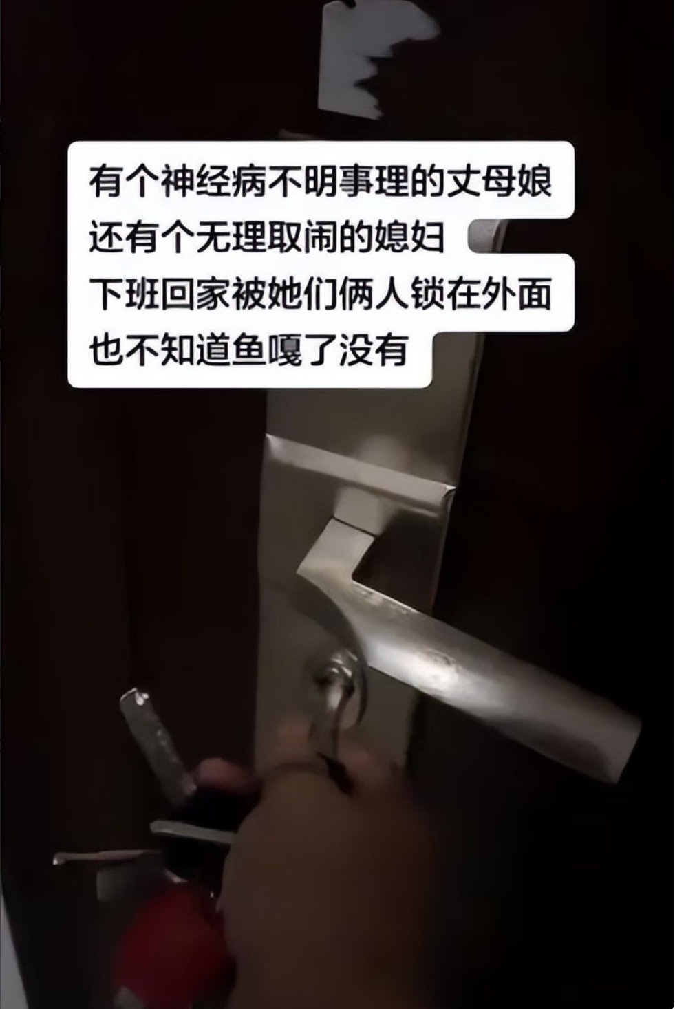 鱼被妻子倒面粉毁掉后续：原因曝光，当事人带鱼缸搬走，决心离婚 