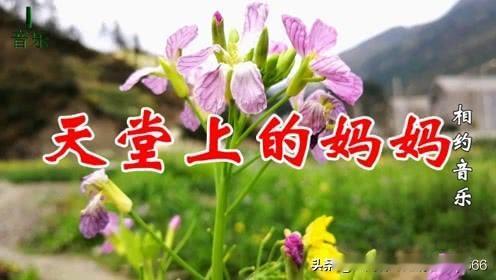 【致天堂的老母亲】
 
又是一年岁月长，风掠过窗棂，便想起远方天堂里的您。
 