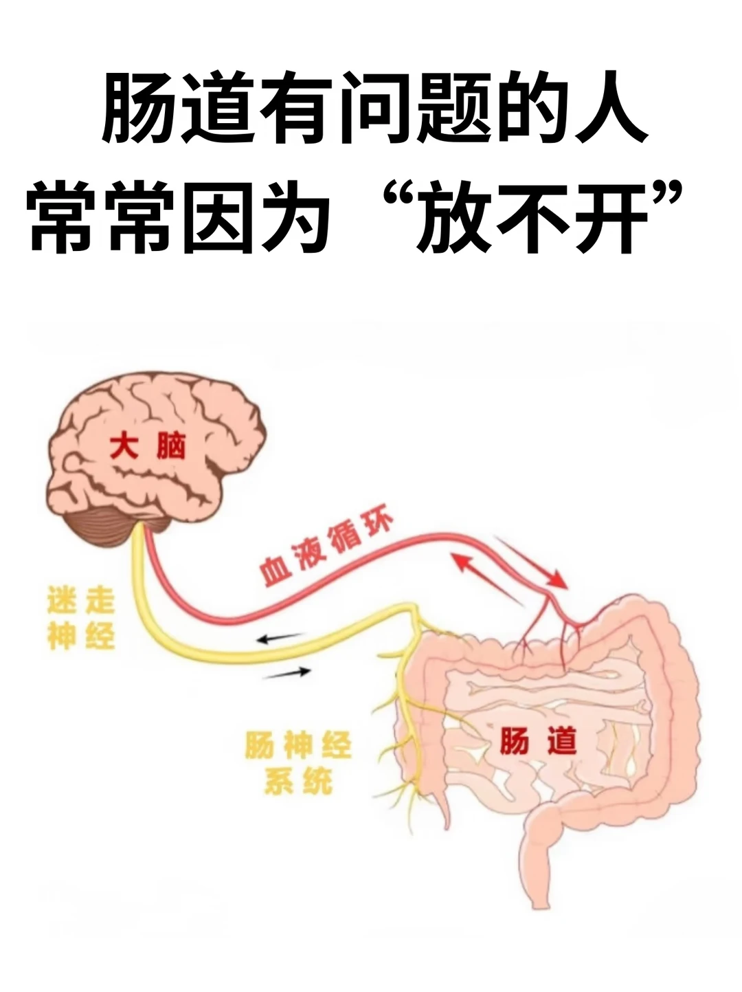 肠道有问题的人，常常因为“放不开”