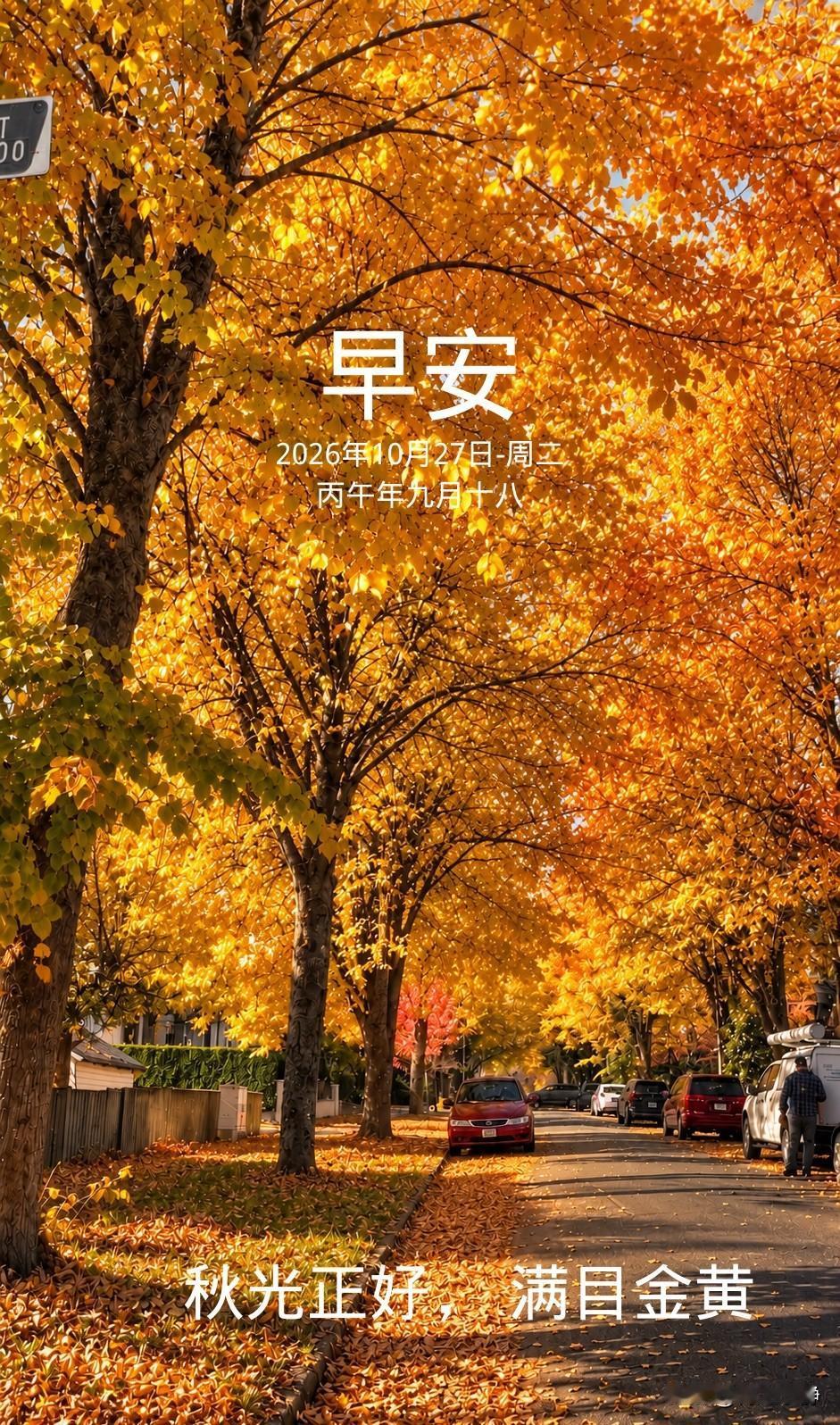 🍂²⁰²⁶/₁₀.₂₇ ᵕ̈ 周二早安｜万事安然☕️🍞🍒🍑
暮秋的风带着