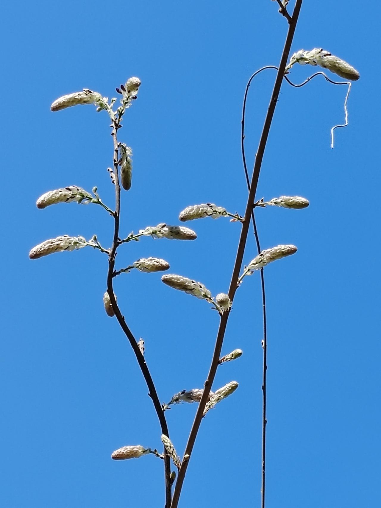 作为公众人物，更应当站稳立场，修德律己，谨言慎行。身为中国人，却怀揣一颗外国心，