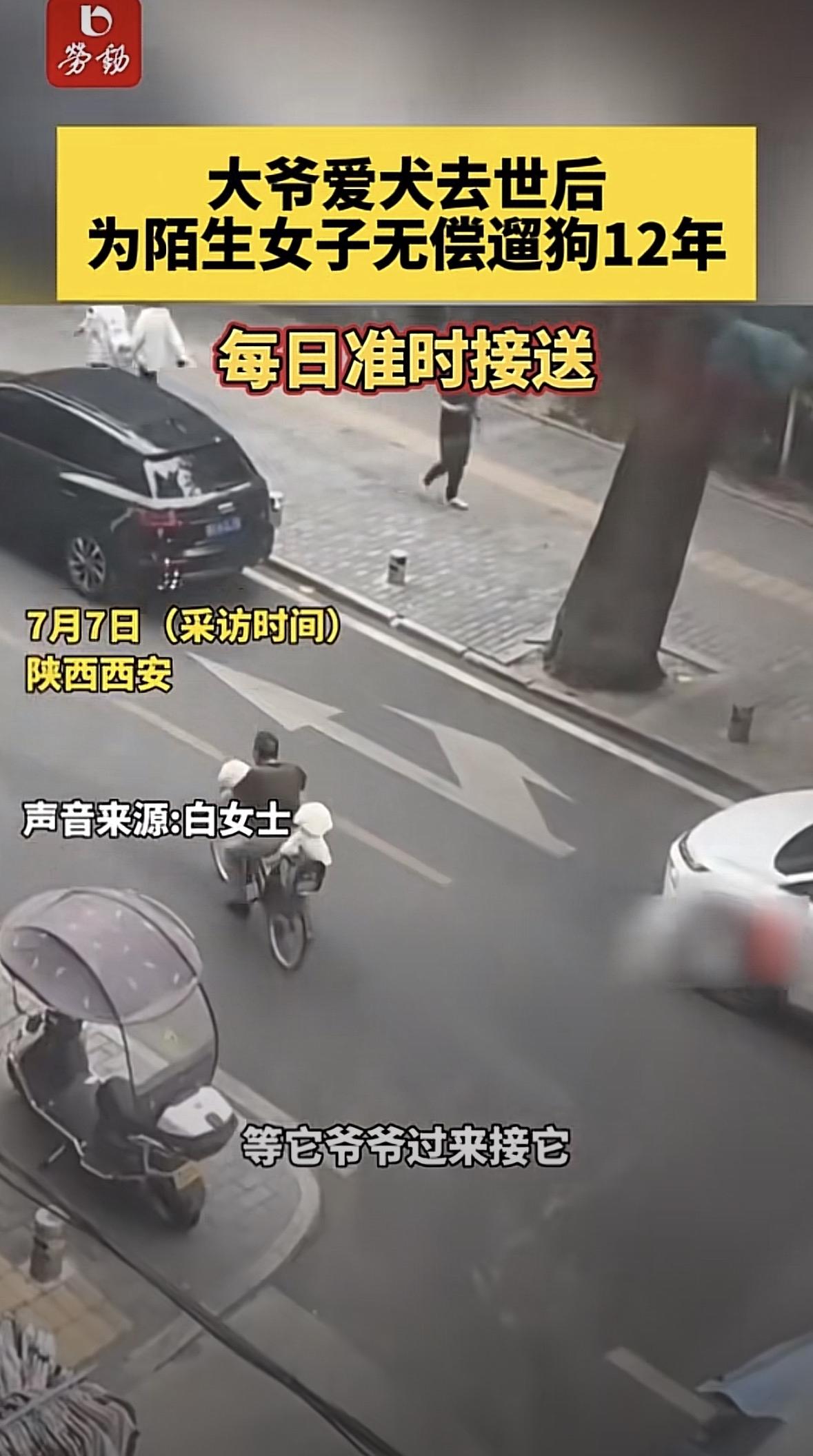 你刷到这位大爷的暖心故事没？十几年前大爷养了十几年的爱犬生病去世，他难过了好几个