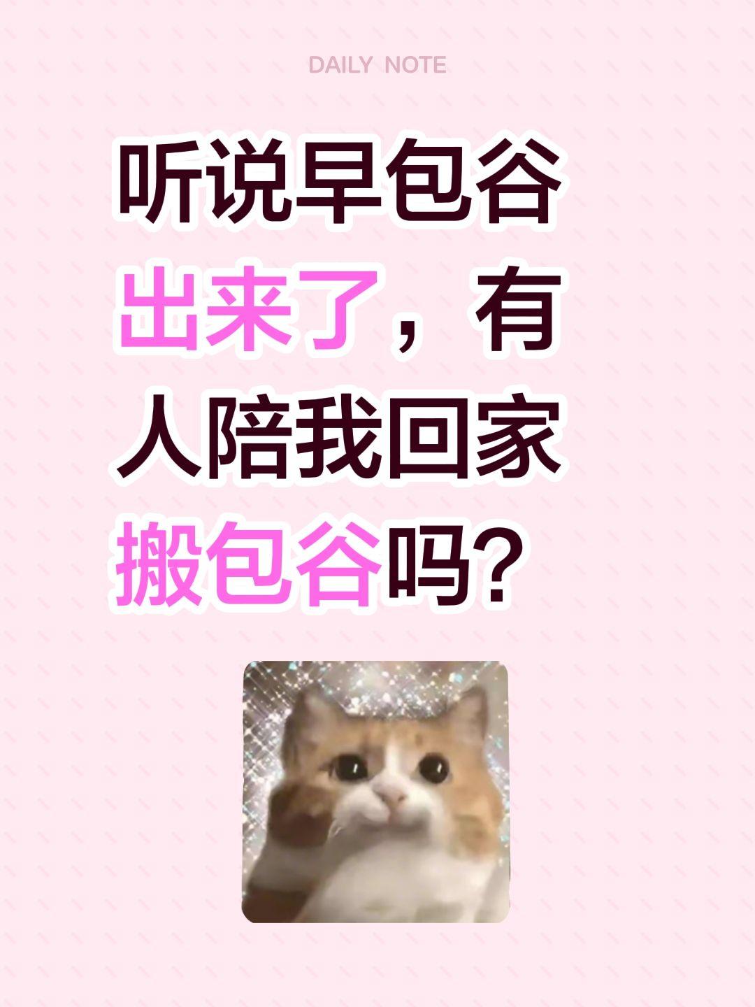 听说早包谷出来了，有人陪我回家搬包谷吗？
