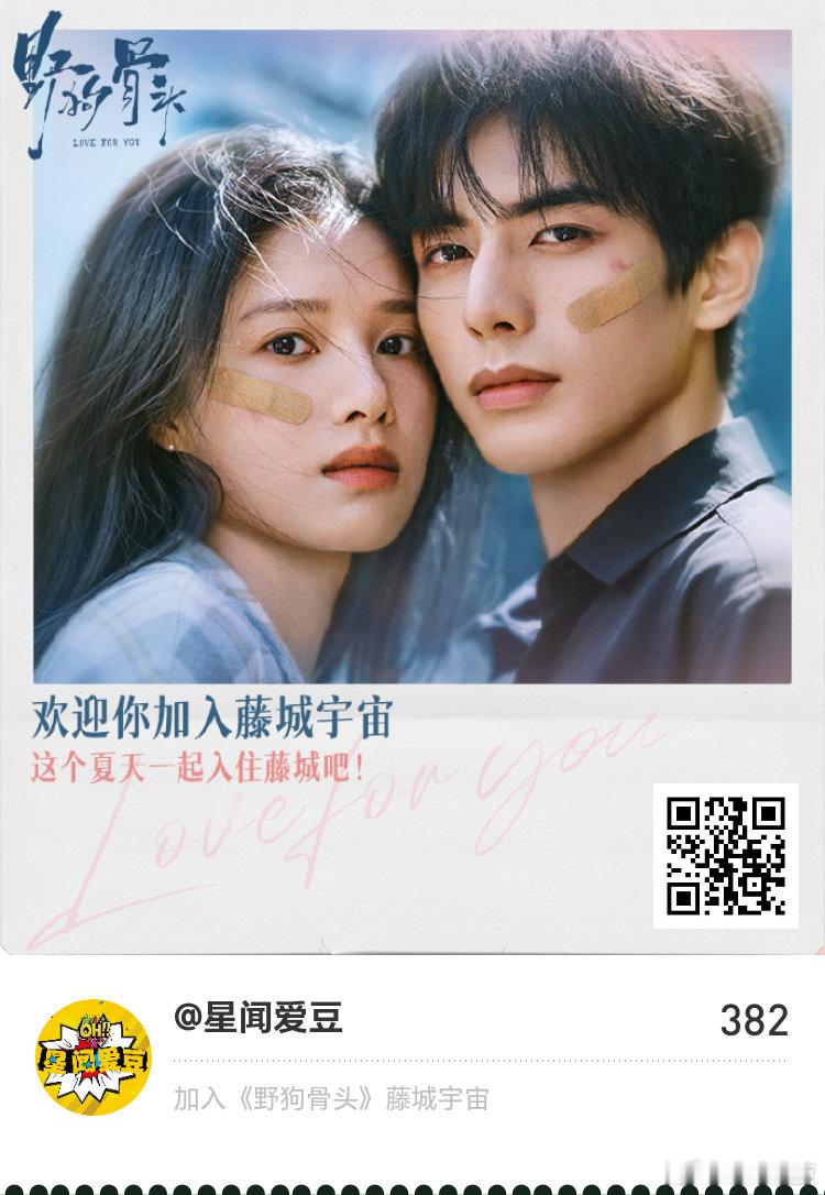 野狗骨头藤城市民招募中快来加入《野狗骨头》藤城宇宙！野狗骨头  《野狗骨头》藤城