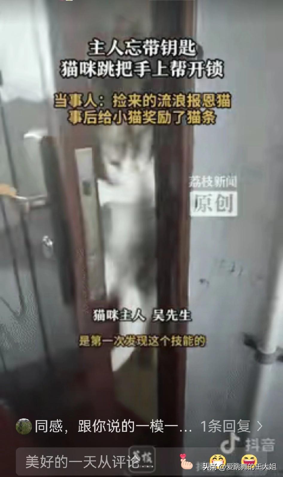 重庆，男子出门时忘记拿钥匙了，回来要开门才发现，进不去门，里面的猫猫听到动静，来