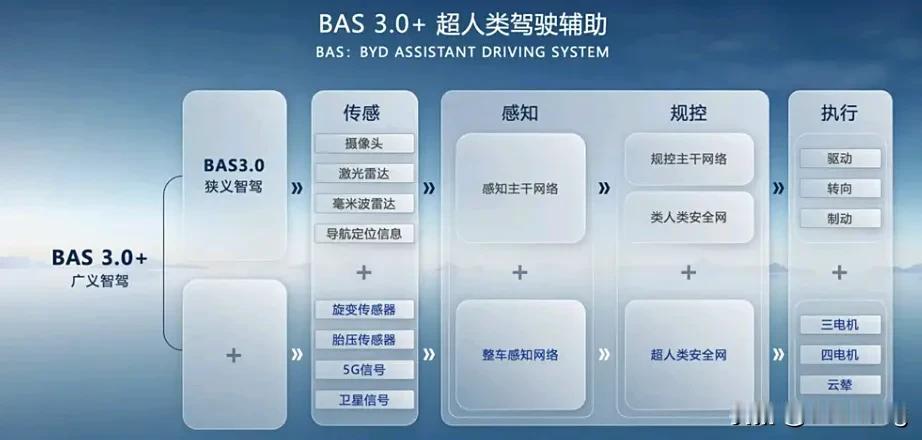 比亚迪的高阶智能驾驶辅助驾驶系统是“天神之眼”，已于2024年12月24日起在全