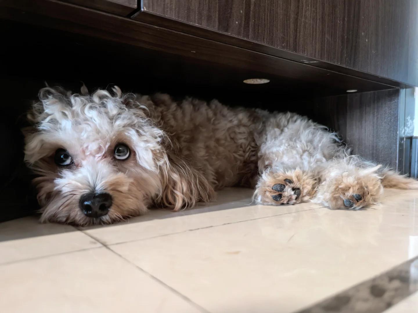 你又要去上班了吗…