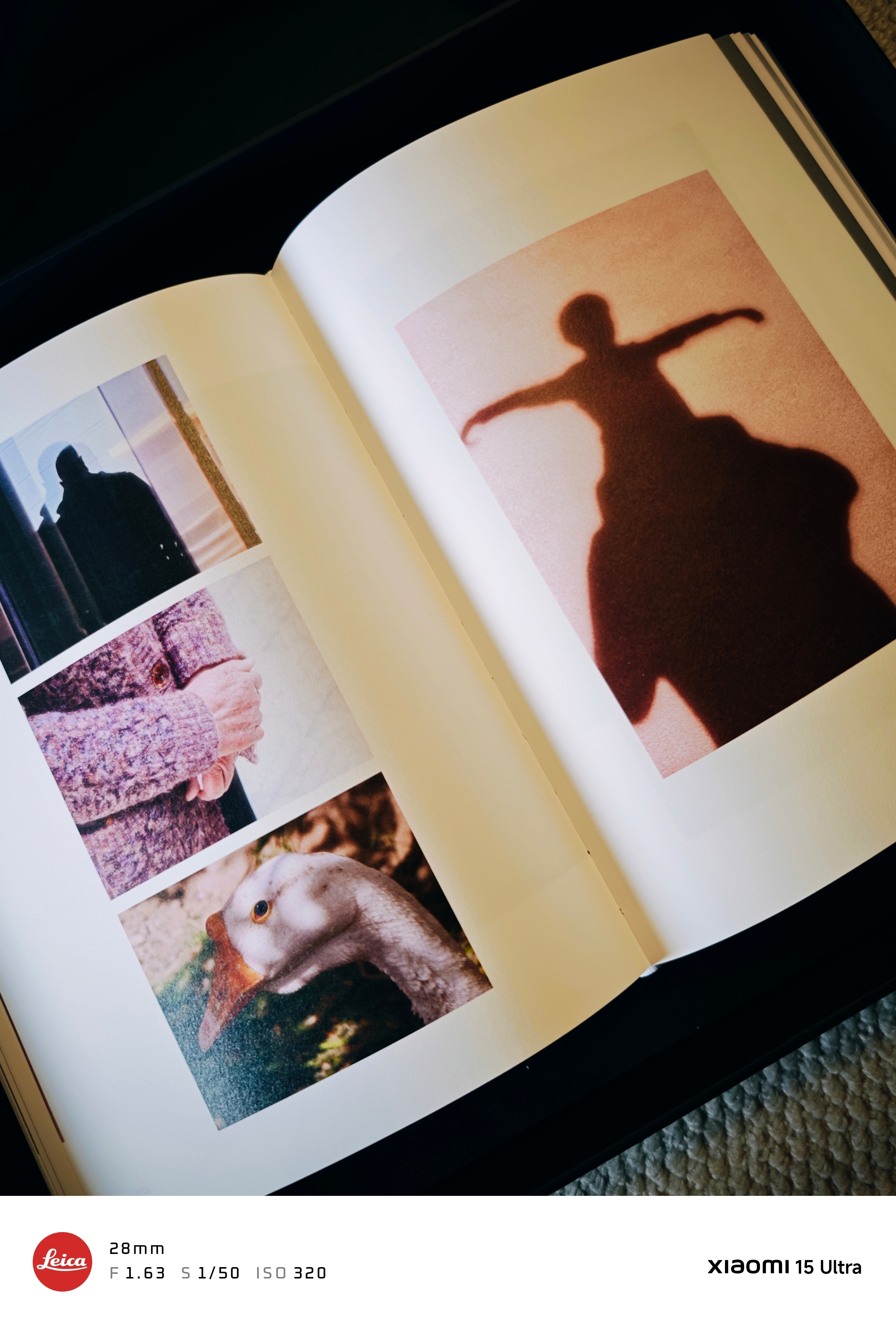 祝福你，从此刻开始拥有很长、很好的新一年。 