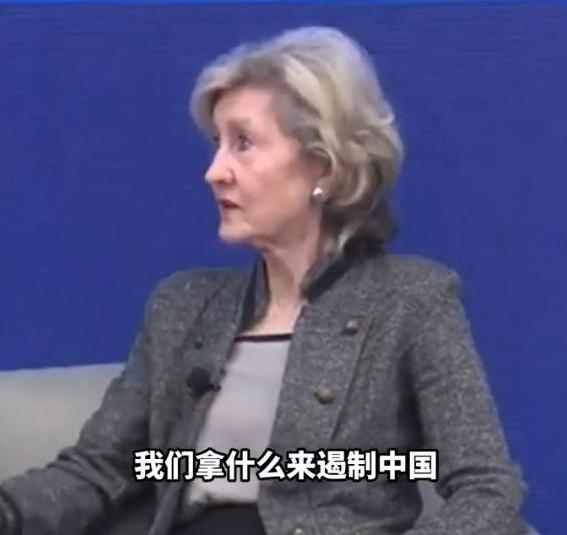 我们对付中国，不是去和它打仗！美国驻北约前大使说：中国有庞大的陆军、海军和空军，