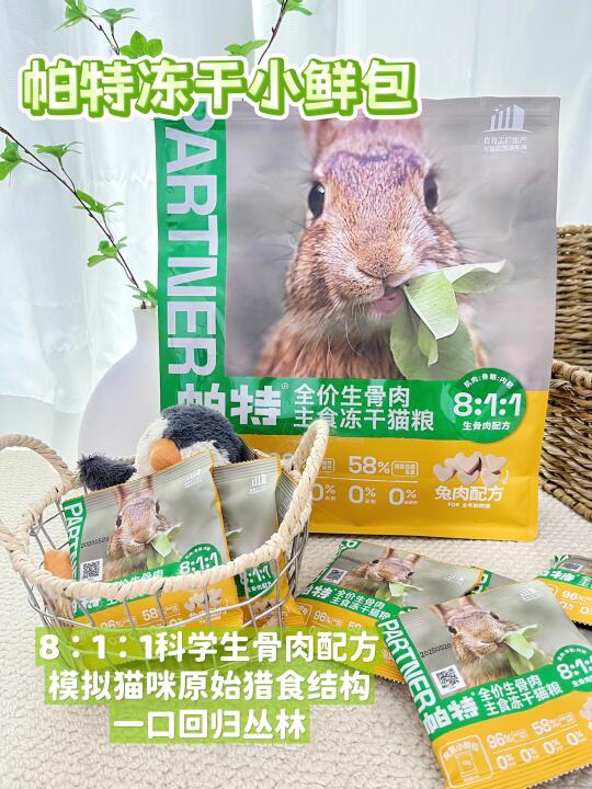 猫咪の米其林级野宴下午茶！一口一个