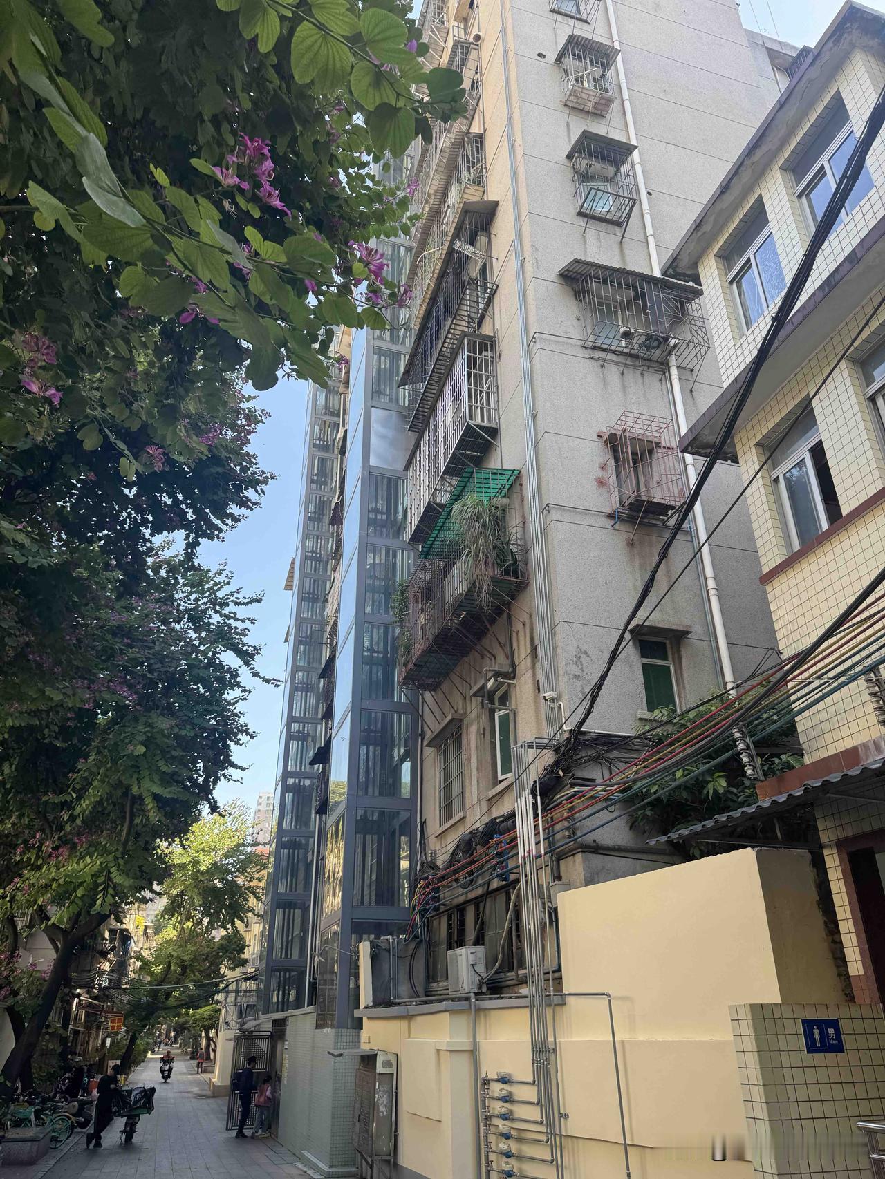 广州越秀区楼房，加装的玻璃电梯，还挺好看的，真是一道靓丽的风景啊！

去逛北京路