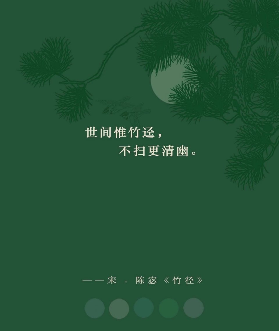 世间惟竹迳，不扫更清幽。 ​​​