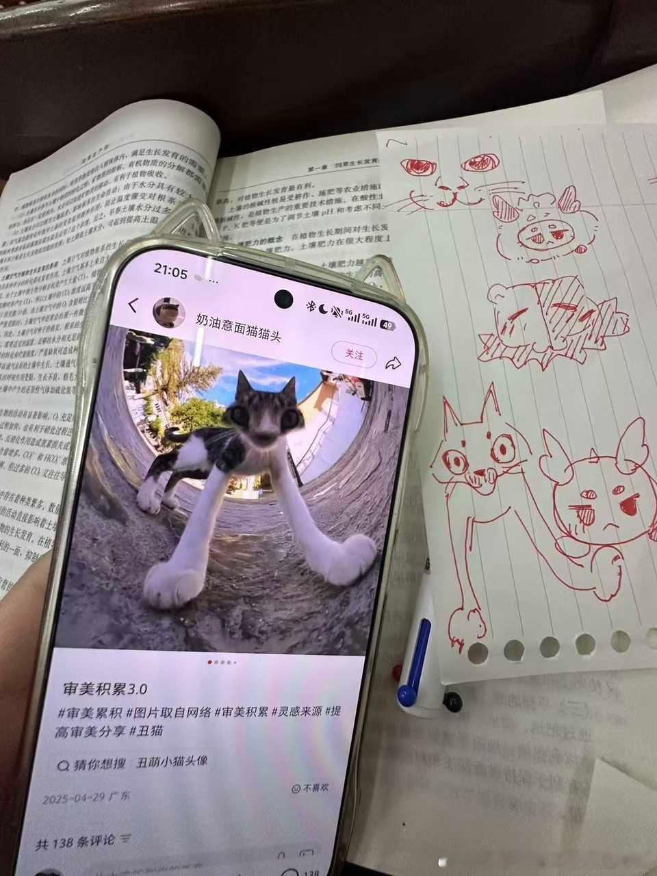 49669【丑猫】助力朋友上电视！丑猫卢浮宫