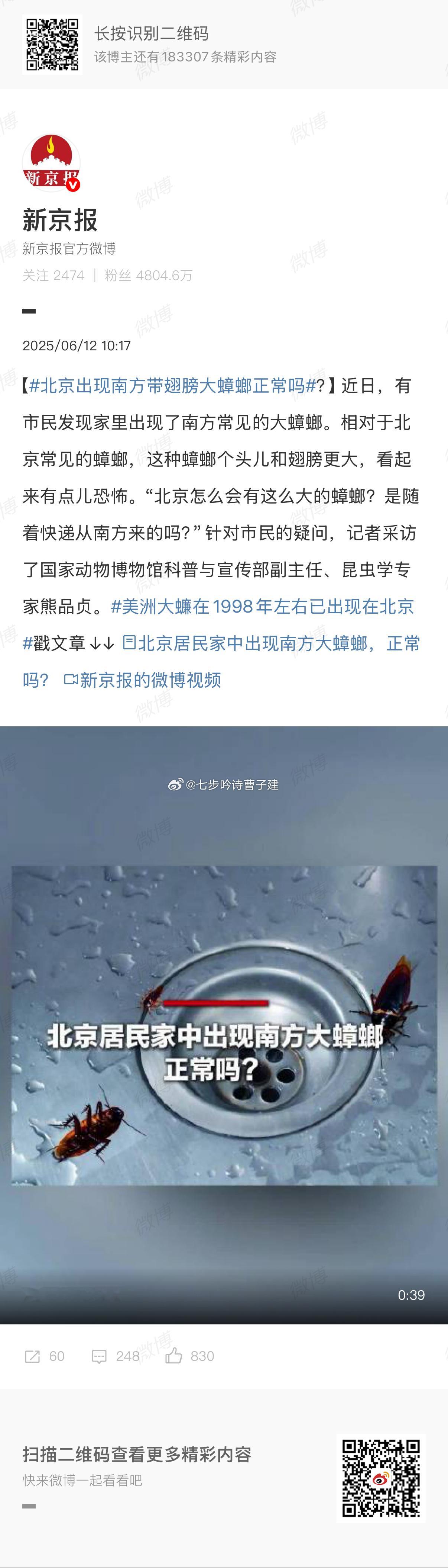北京出现南方带翅膀大蟑螂正常吗南蟑北走是吧[喵喵][喵喵][喵喵]  ​​​