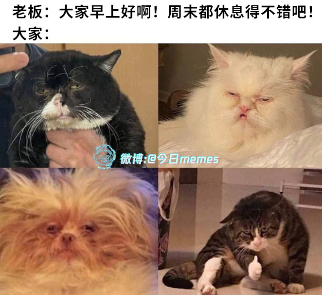 还行（9gag） 今日meme[超话]   