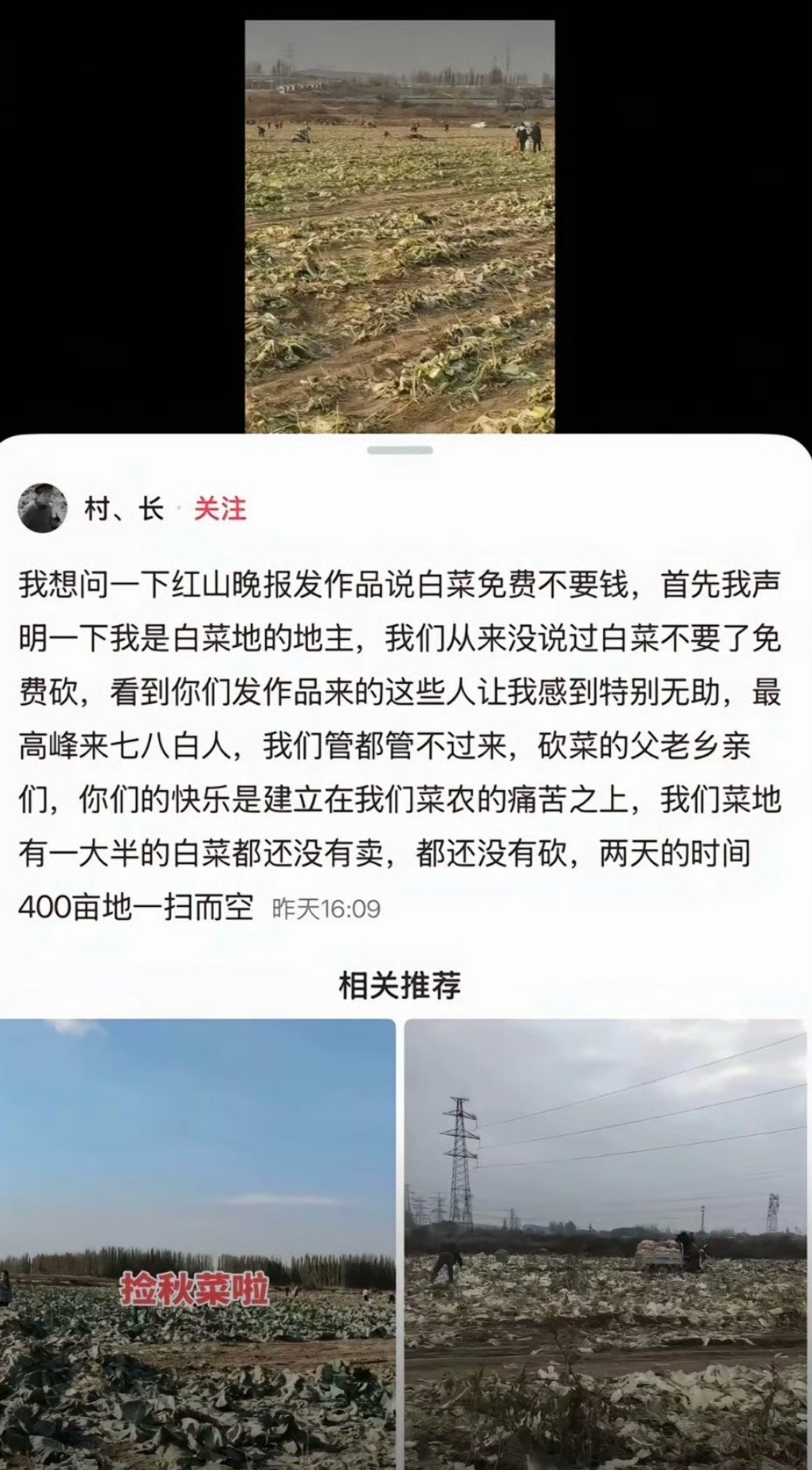 白菜免费摘谁在造谣谁在传谣 真的是好事不出门，坏事传千里！大家怎么也不动脑子想一