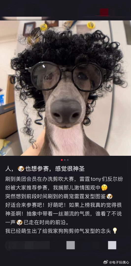 发型易容术美团会员也太会整活了！洗剪吹好彩头大赛脑洞大开，各路Tony各显神通，