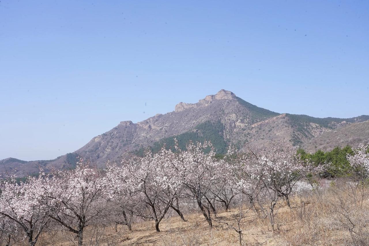 凌源景观系列之二十八——凌源金花山
        ​今天是除夕，首先祝大家新春
