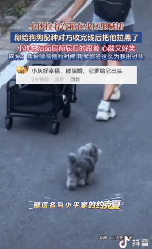 “哭笑不得！江苏一小伙转给小区邻居800元，约好双方狗狗配种，结果对方钱一到手，