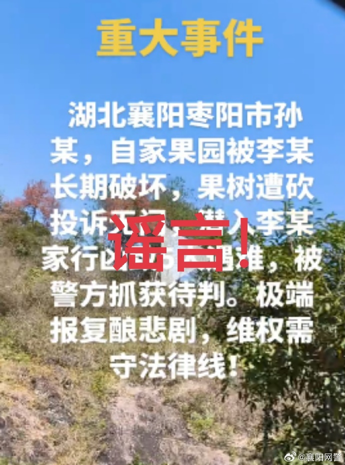11月20日，襄阳网警工作中发现有网民在社交平台上发布视频称：“湖北襄阳枣阳市孙