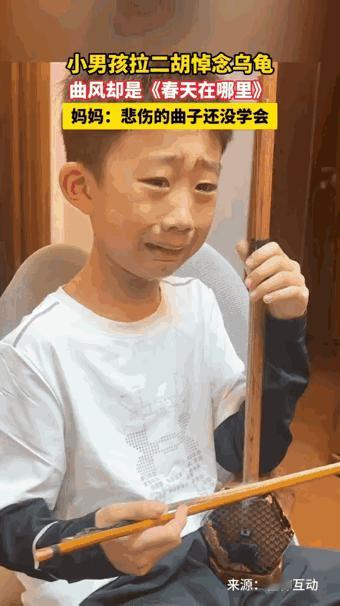 不厚道的笑了！辽宁沈阳，男孩家里养的小乌龟偷吃鱼时噎死了，孩子得知后伤心不已，本