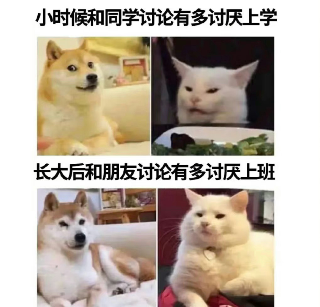 只要是需要长时间付出的都讨厌 ​​​