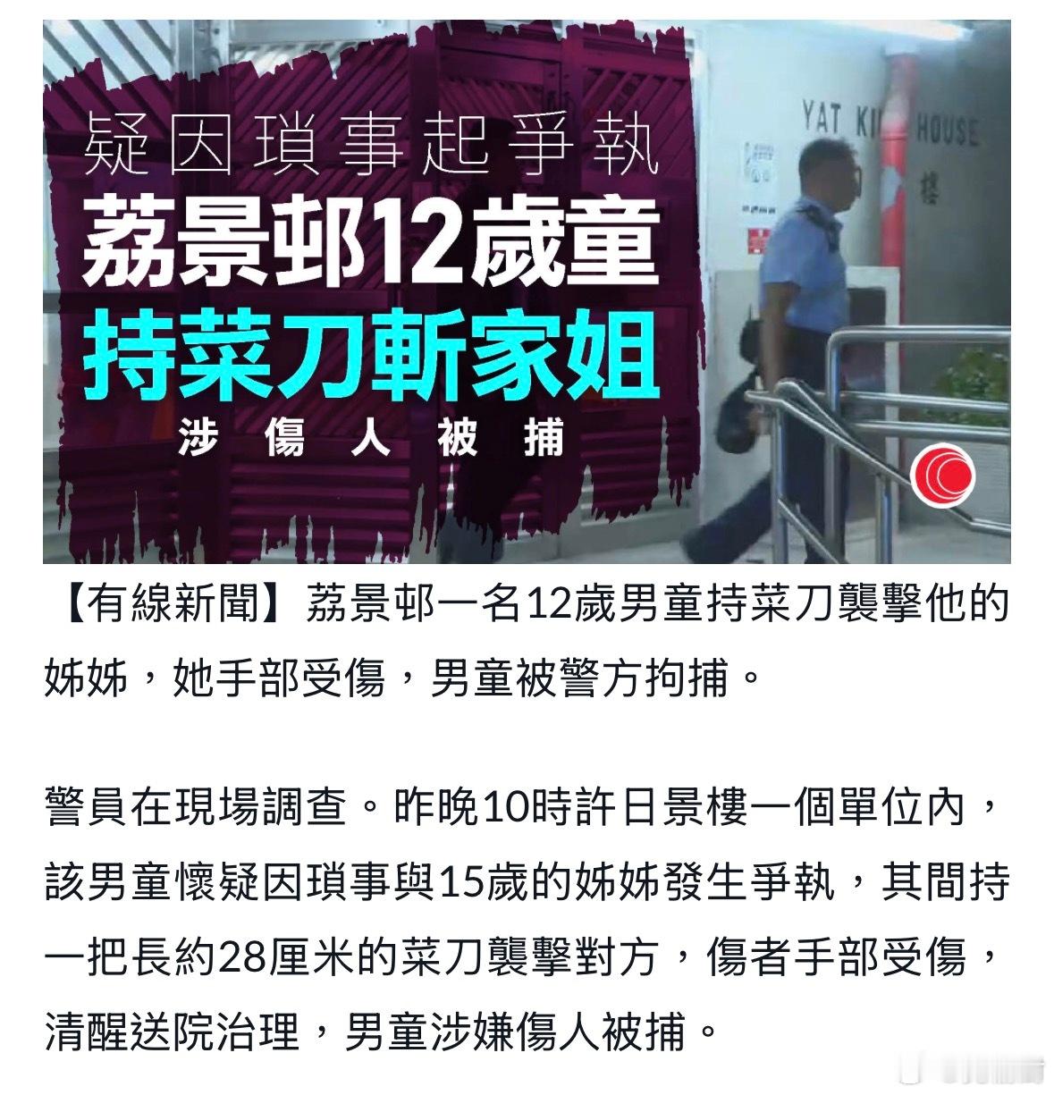 荔景邨12岁男童擸菜刀斩伤15岁胞姐　涉伤人被捕港闻热点观点