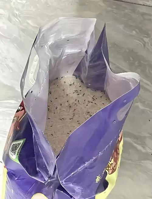 隔壁邻居的李大娘又给我送了半袋子大米，放在了房门口，可是这些大米我根本就不想要啊
