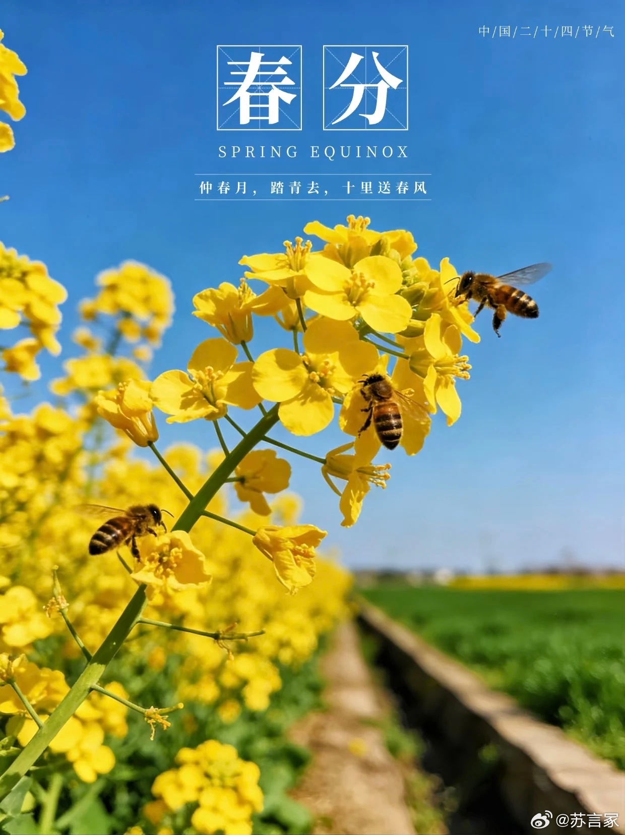 春分养生饮食：戒酸增辛。春分与惊蛰同属仲春，此时肝气旺，肾气微，故在饮食方面要戒