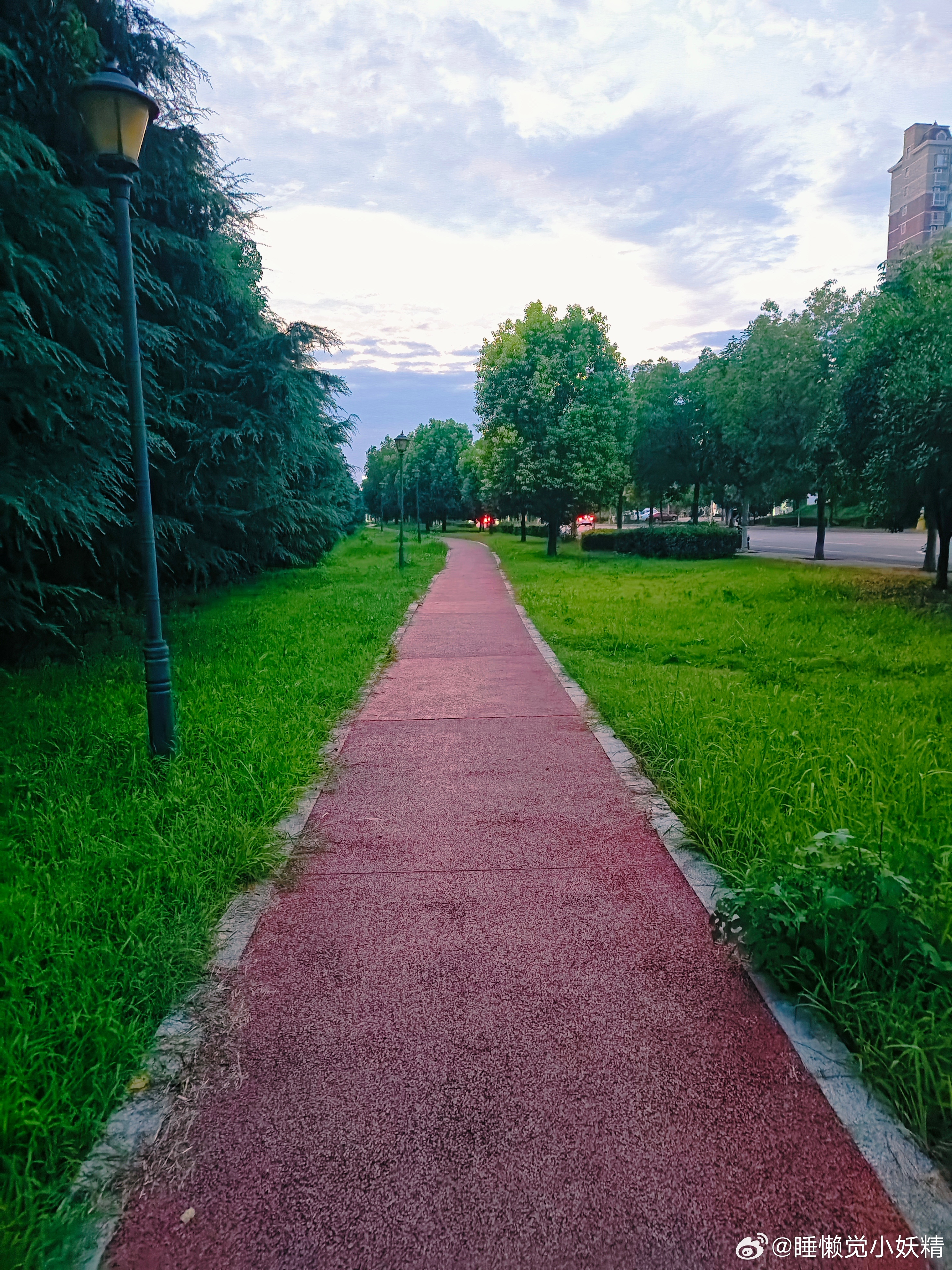 无敌小公主 绿油油的小路，出来溜达溜达心情都变好了，