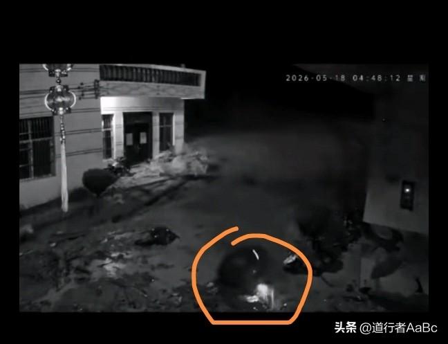 “最美定格瞬间”
一身泥泞只露两只坚毅的眼睛在忽闪忽闪。一手拿着被泥沙包浆了的手