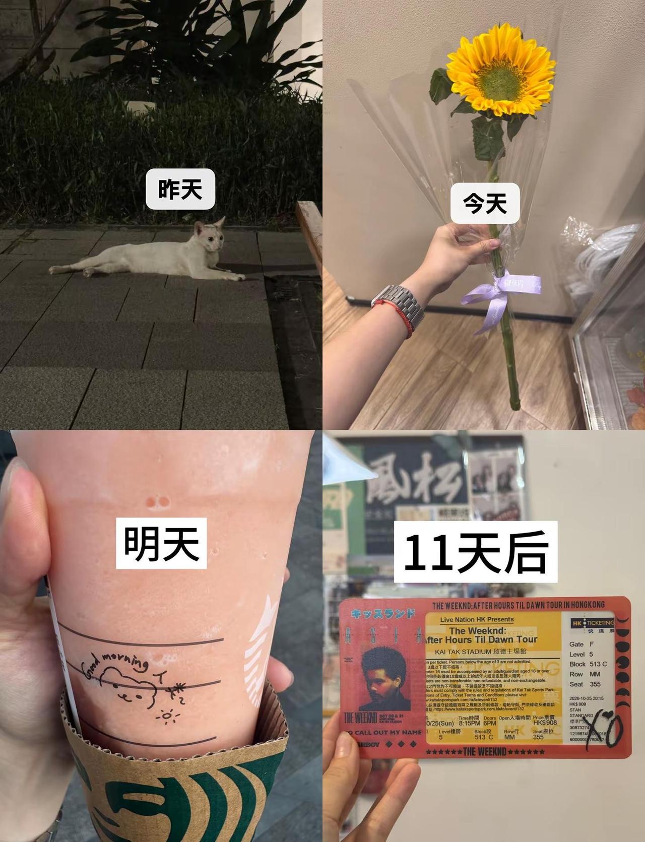 平淡的日子终于有了盼头。我要去看世男一！！！！演唱会门票 theweeknd t