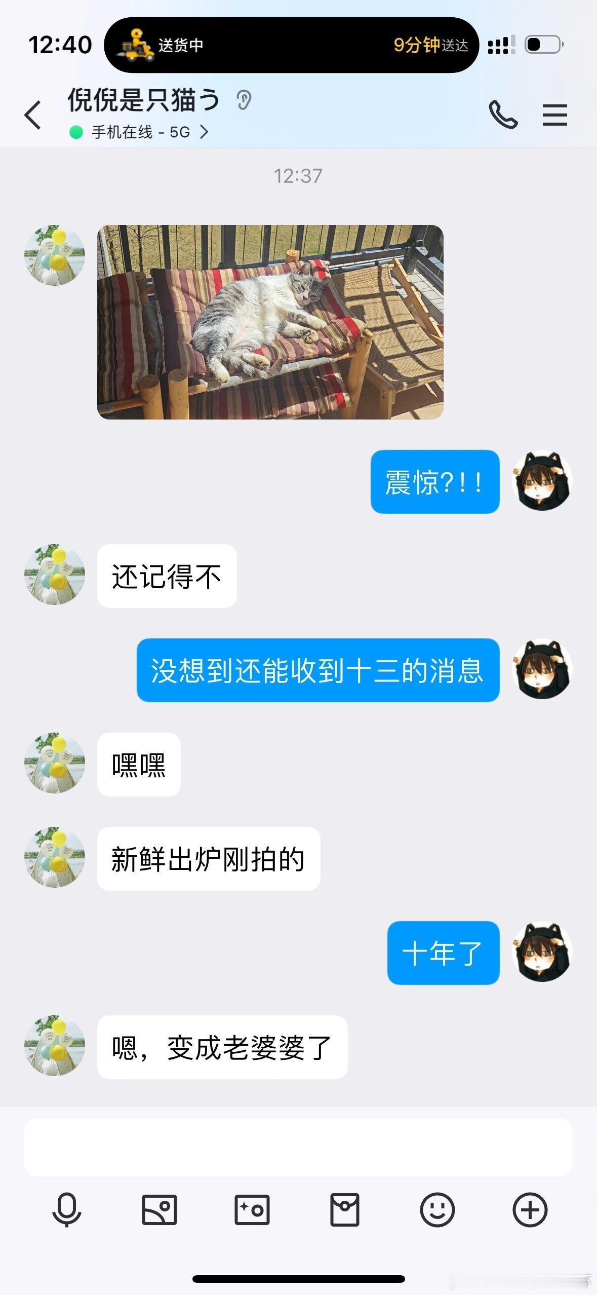 #收到猫猫被领养十年后的照片# 十年前猫猫被一个小姐姐领养了，十年后的今天给我发