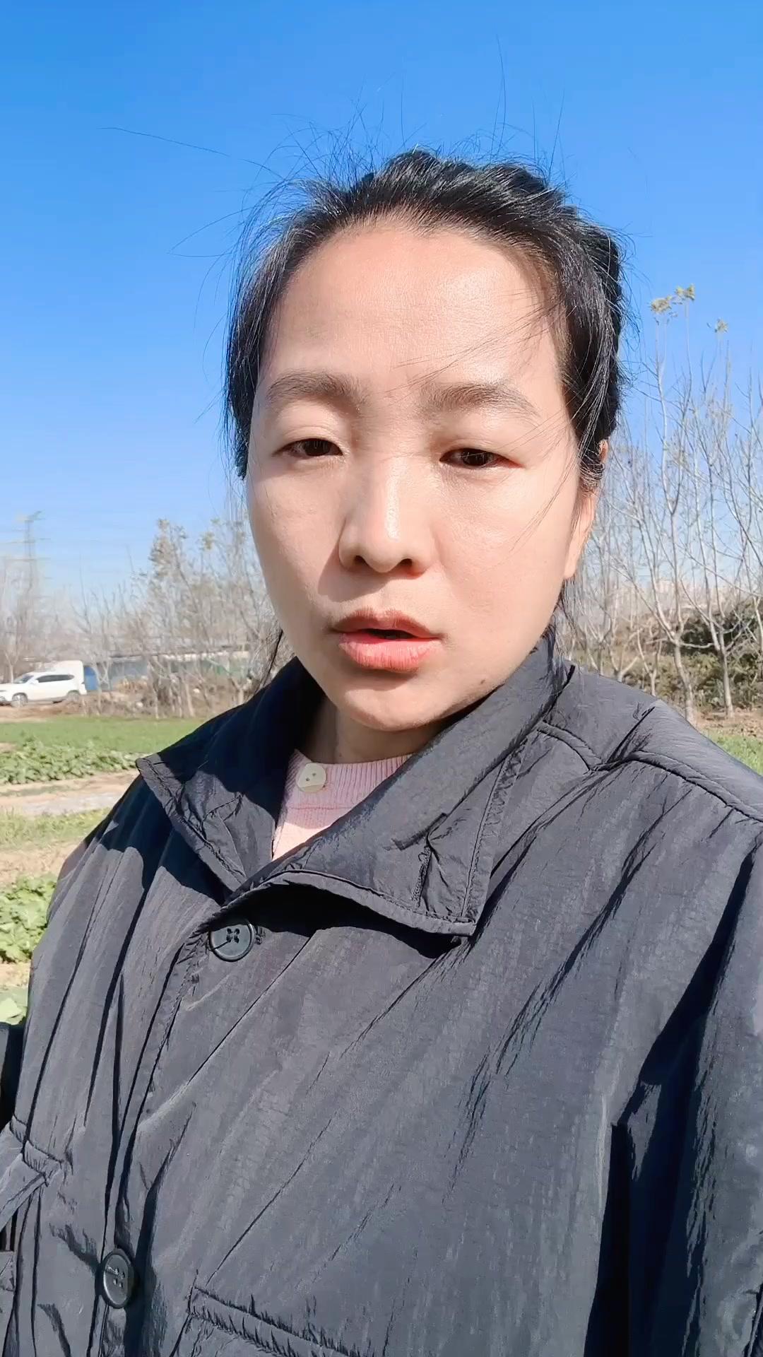 入冬后移栽生菜苗要趁早，苗越小越容易缓苗成功，3片针叶以上就可以移栽了。
移栽的