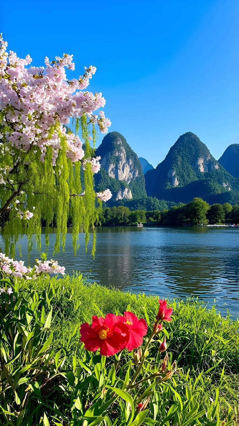 二月来了冬已尽，春天即将到来

二月来了，虽然这几天温度很低，很多人羽绒服还穿在