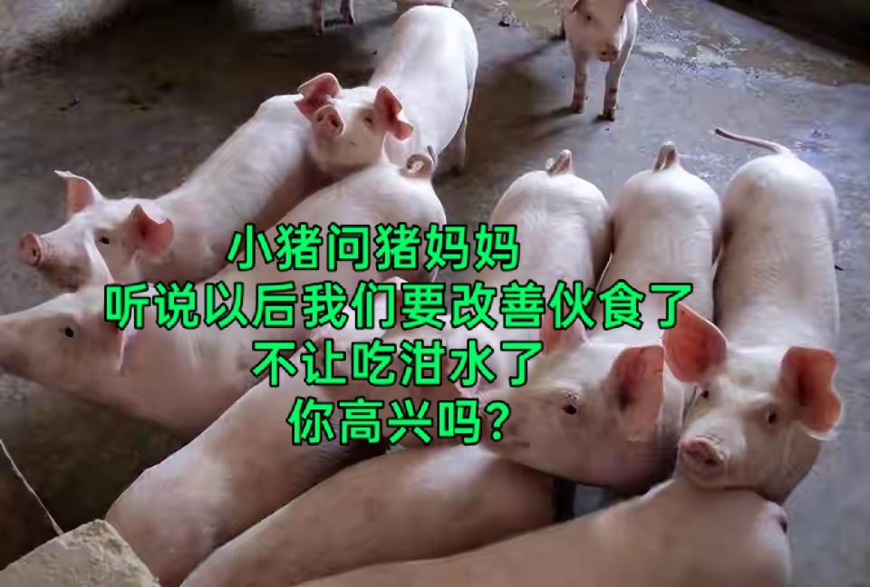 听说禁止用泔水来喂猪，评论区里的讨论就热闹了，在农村，用泔水来喂猪的传统也不是一