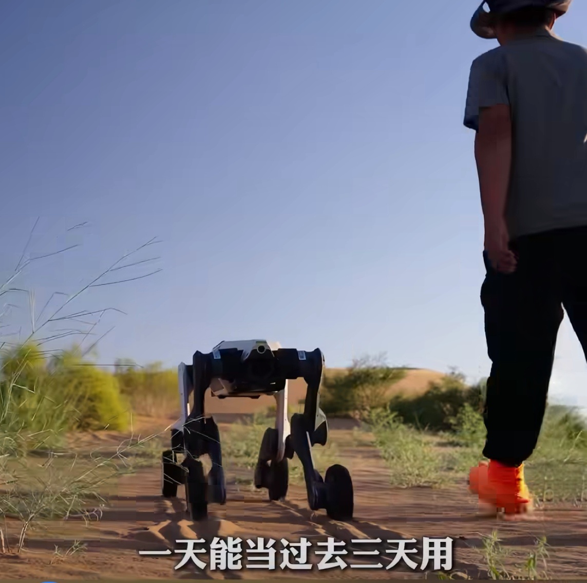 浙产机器狗去内蒙古帮忙治沙了没想到机器狗也奔赴沙漠参与治沙，实在让人眼前一亮。恶