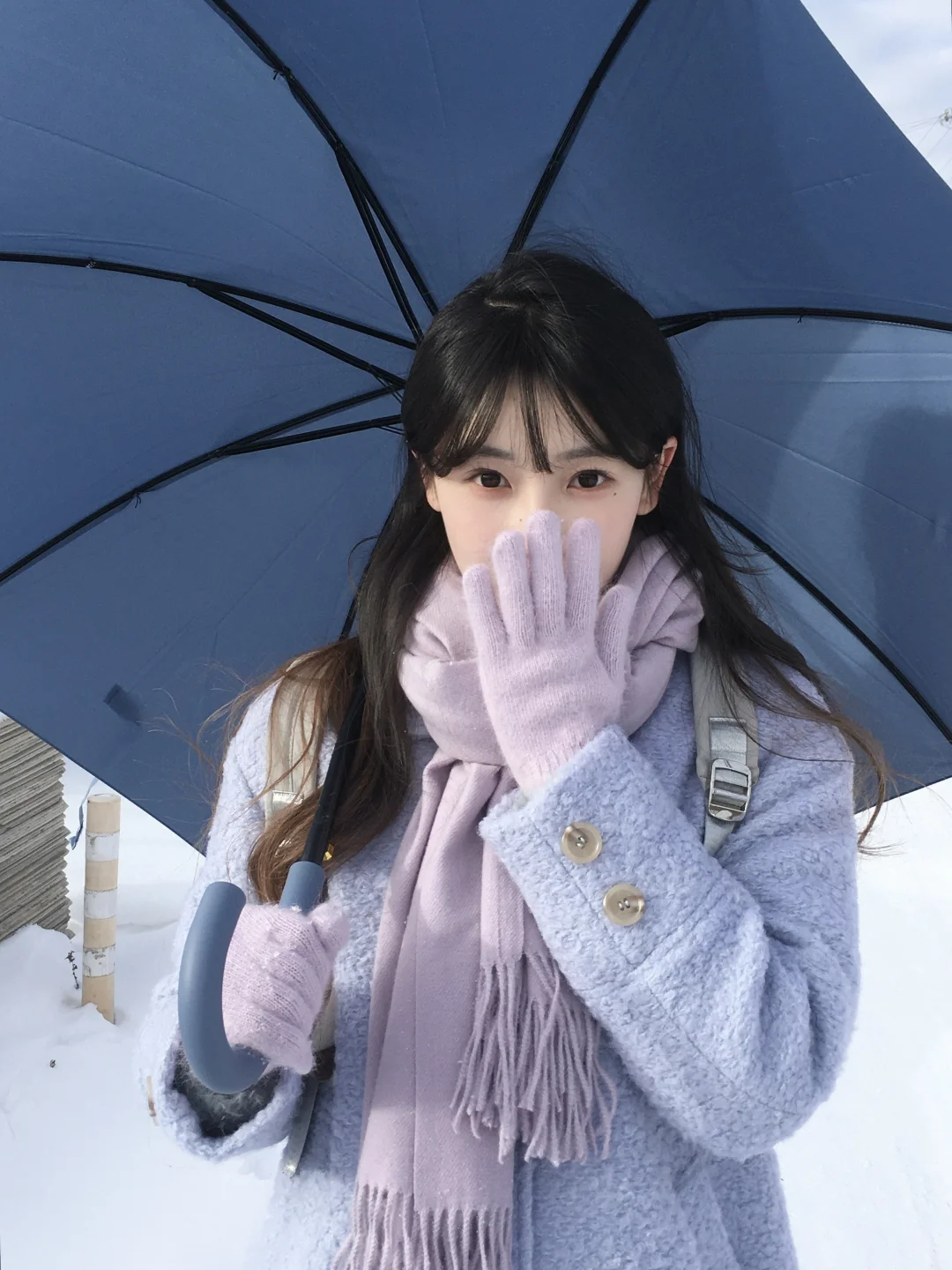 ❅ﾟ. * ∙ 冬日來信 ᛭ . 📧