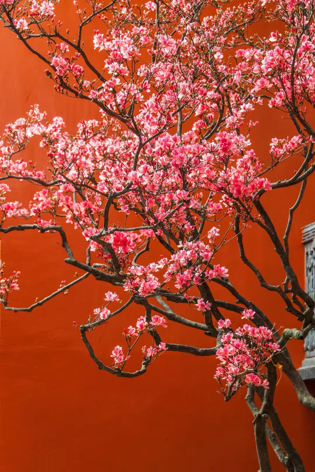 西昌大石板古村。西昌大石板古村