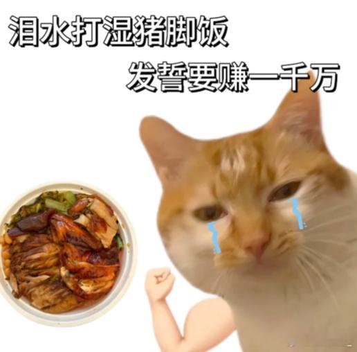 椰子鸡是正经深圳菜 一直以为深圳市市菜是猪脚饭，结果猪脚饭是隆江的 