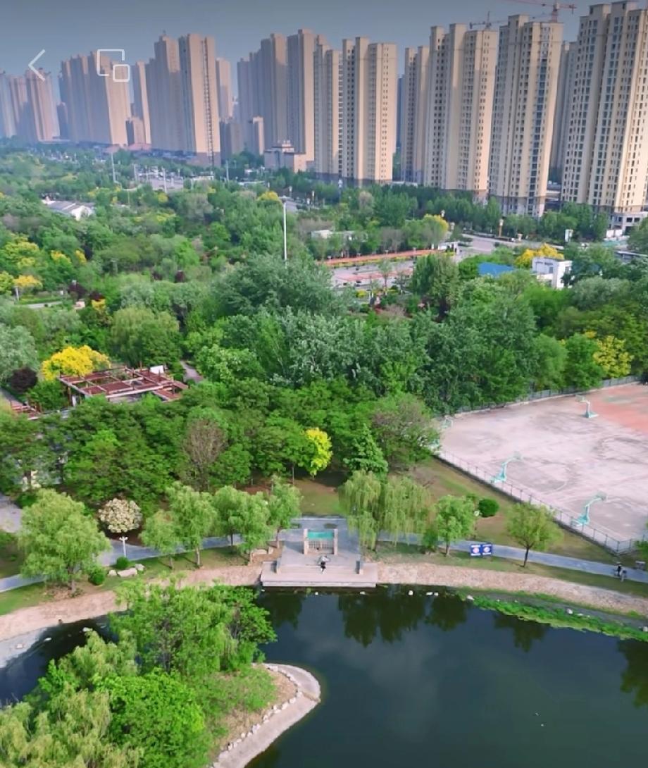 春日里的曹县人民公园