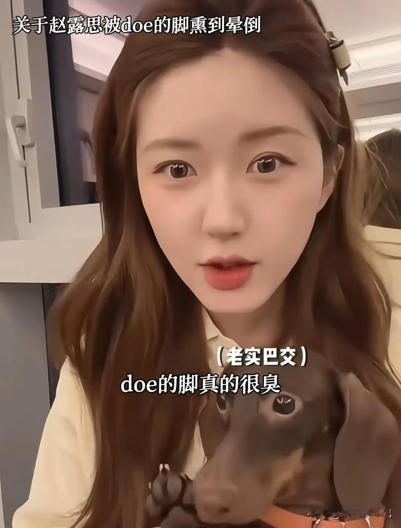 赵露思抓起自家狗的臭脚，凑到鼻子前猛吸一口，结果被熏晕，好搞笑哈哈哈！
露思的狗