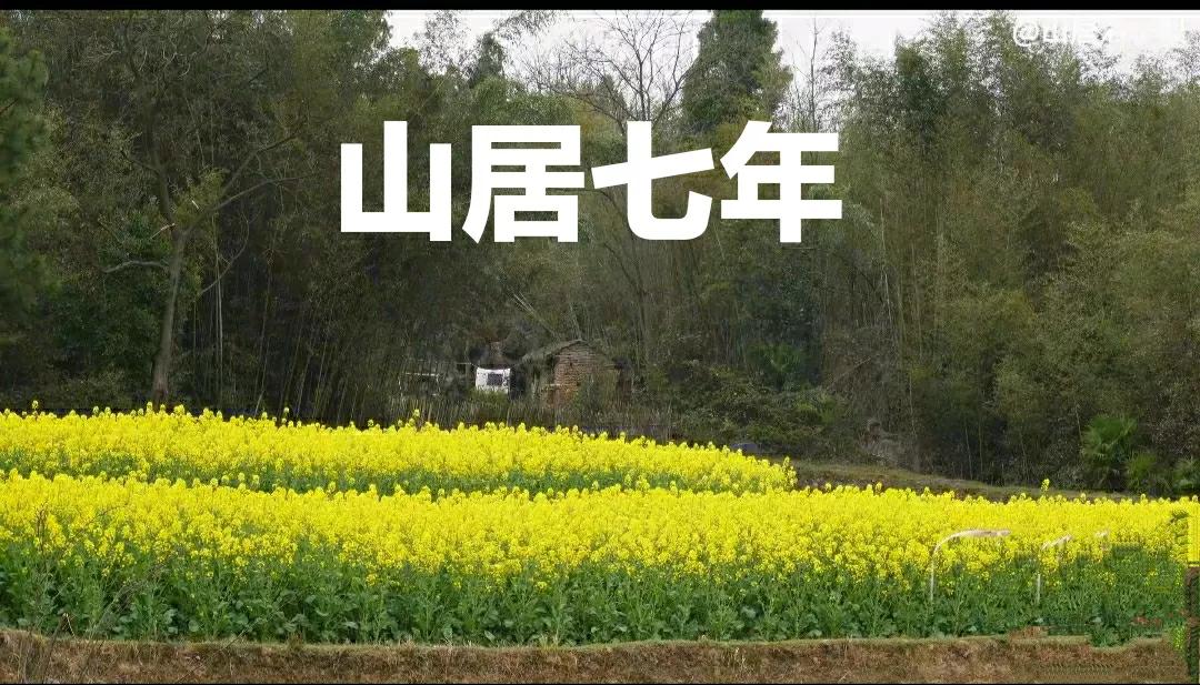 山间一陋室，容膝已云安，屋前半亩田，裹腹尚有闲

不慕华堂，不求珍馐，晴耕雨读，