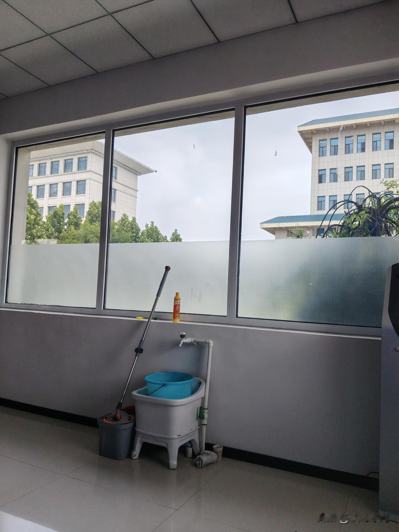窗外一只麻雀从昨天开始就不停地撞击屋檐下的玻璃，我以为它想进来。后来搜了下才明白