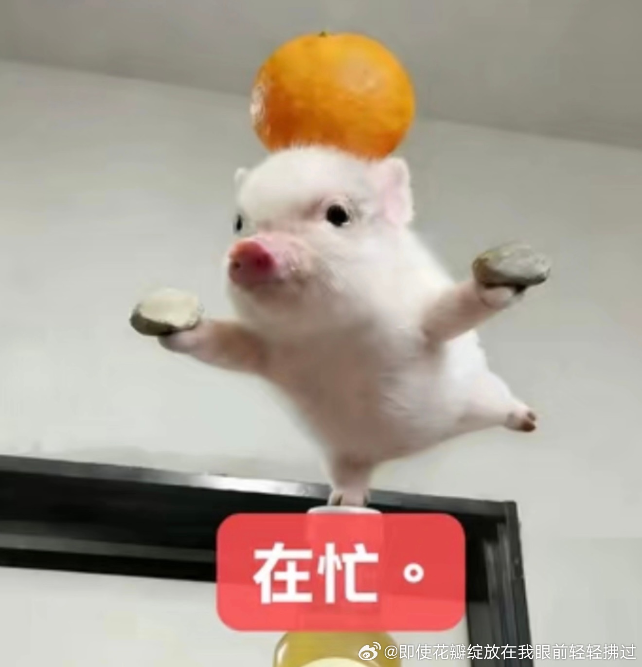 我上班很累的 