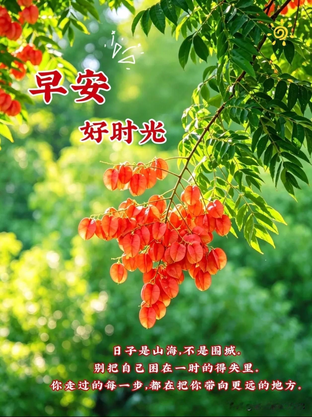 🍄🌿🌺²⁰²⁶/₀₉.₂₆ ᵕ̈ 🌺🌿🍄八月十六
日子像晨光里的露珠